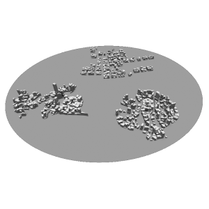 No presence of green corridors